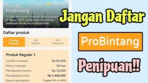 ProBintang 2