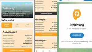ProBintang 1